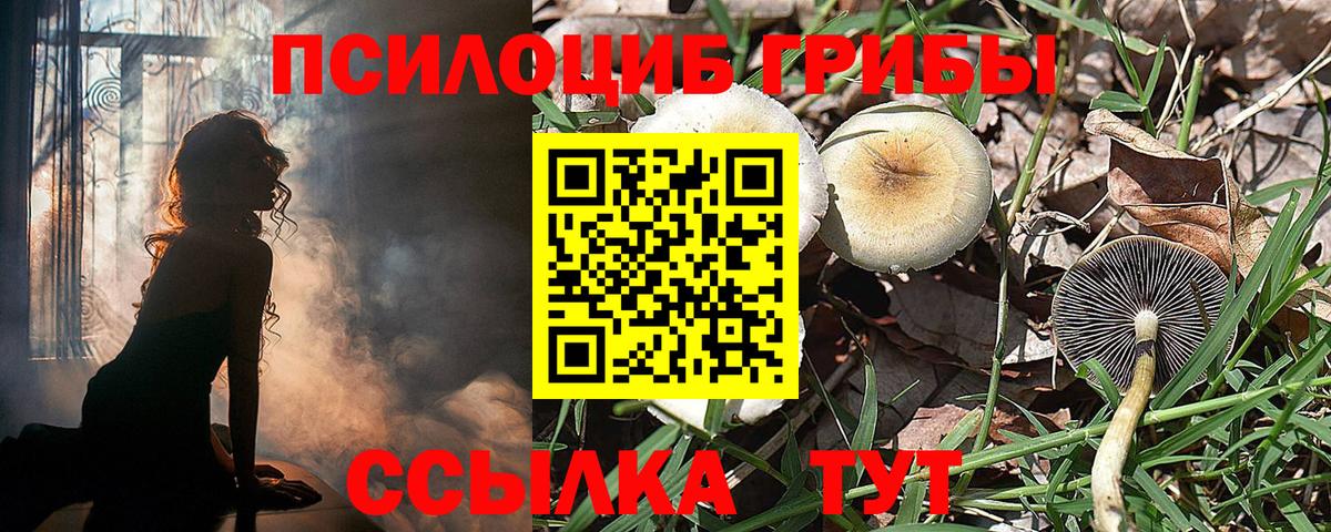 Галлюциногенные грибы мухоморы Сорочинск
