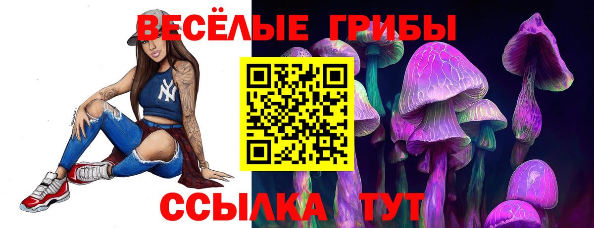 Сорочинск  Галлюциногенные грибы Cubensis  Псилоцибиновые грибы Psilocybine cubensis  Вход с VPN 